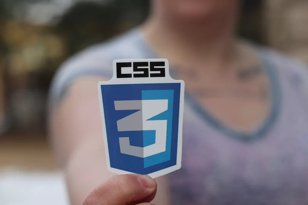 What Programming Languages Does WordPress Use? | CSS | Bonsah