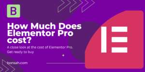 How Much Does Elementor Pro cost