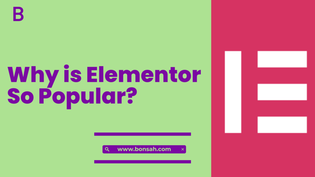 Why is Elementor So Popular Among Web Designers